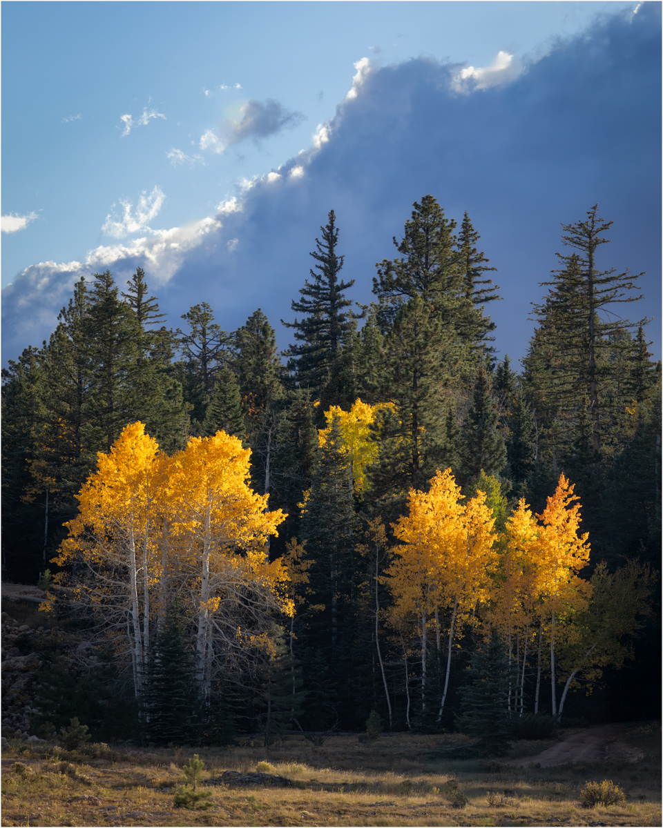 Chimenti Greg High Country Nature   General   Class B 20251022